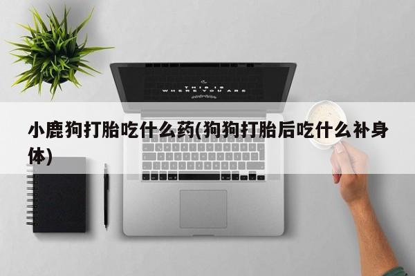 网上米索前列醇在线购买，小鹿狗打胎吃什么药(狗狗打胎后吃什么补身体)
