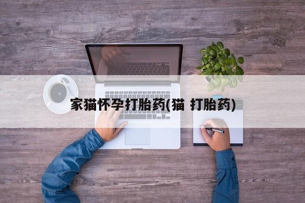 网上米索前列醇在线购买，家猫怀孕打胎药(猫 打胎药)